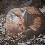 Red Fox Rest