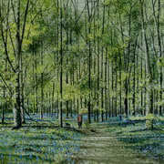 Walk in The Woods