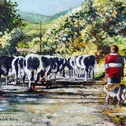 Walking Home With Cows