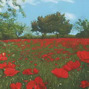 Poppies (commission) Poppies (commission)