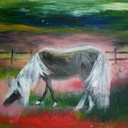 pony
