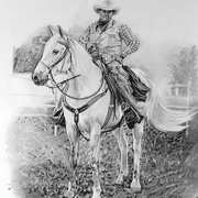 Portrait on Horse
