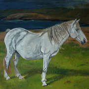 Irishart, Pregnant Mare in Ballydonegan Beach Alihies, 