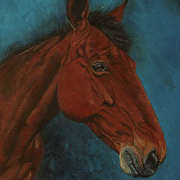 Irishart, Rocky's sister from Garrywadreen, 