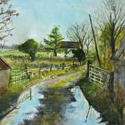Puddles on the Lane Puddles on the Lane