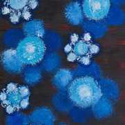 Blue Flowers