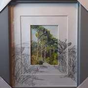 Belmont Demesne Walk