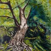 The Oak In The Lane
