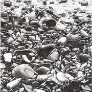 Pebbles On The Beach Near Raughley