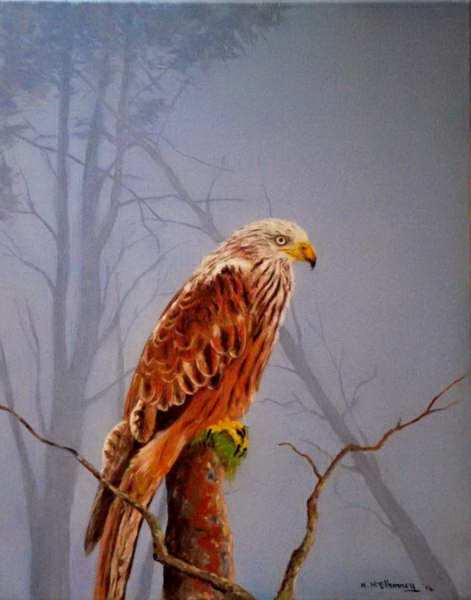 painting, Red Kite - Cur Rua, oil on canvas, 16 x 20 ins