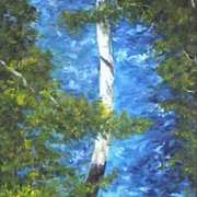 Butlerstown River,Glanmire