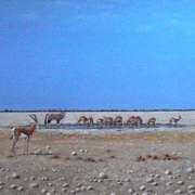Etosha Waterhole