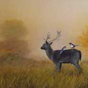 Fallow Deer with Magpies
