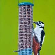 Irish Woodpecker