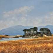 On the Road to Clifden