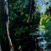 Boyne River IV