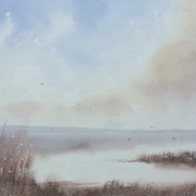 Estuary Estuary