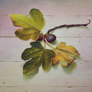 Two Figs,Three Leaves
