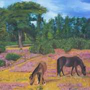 Irishart, Horses grazing, 