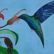 Hummingbird