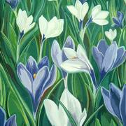 Crocuses