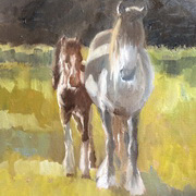 Coloured Mare and Foal