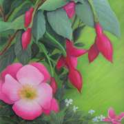 A Wild Rose Among The Fuchsias A Wild Rose Among The Fuchsias