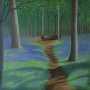 Through the Bluebell Woods Through the Bluebell Woods