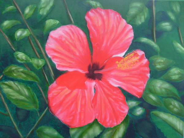 painting, Hibiscus - Crete, oil on canvas, 40 x 30 cm