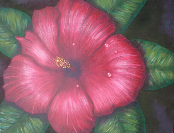 painting, Hibiscus, oil on canvas, 45 x 35 cm