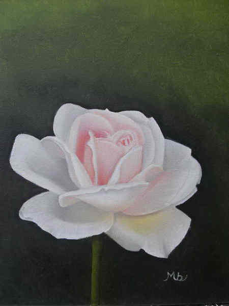 painting, White Rose, oil on canvas, 30.5 x 25.5 cm