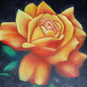 Orange Rose On Black