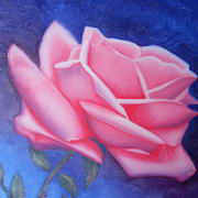 Rose 'Anna'