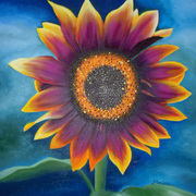Sunflower In A Wild Garden