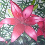 The Lillies
