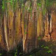 Roots Roots