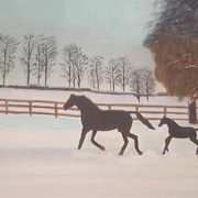Winter Gallop Winter Gallop