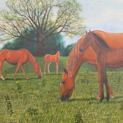 Street Meadow Horses