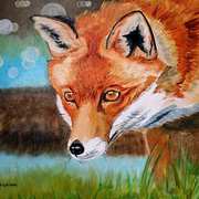 Madra Rua (Fox)