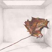 Irish art | Joni's Tree Museum,Exhibit A by Micheal O'Muirthile | Irish artist