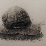 Caracol