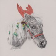 Cowboy the Christmas Pony