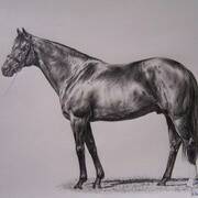 Irishart, Galileo, 