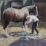 Washing The Horse