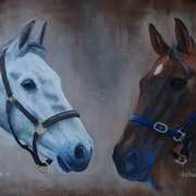 Irishart, Horses, 