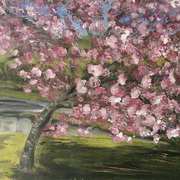 Cherry Blossom