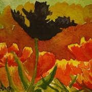 Black Tulip Black Tulip