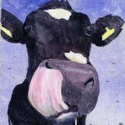 Cows Lick 2 Cows Lick 2