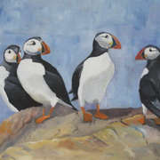 Puffins Puffins