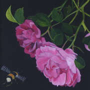 WildRose WildRose